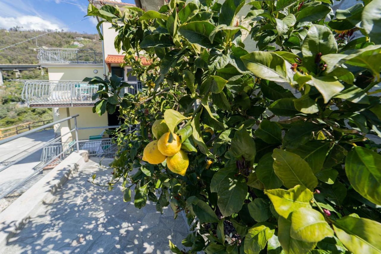 Casa Vacanza Il Portico Apartment Moneglia Exterior photo